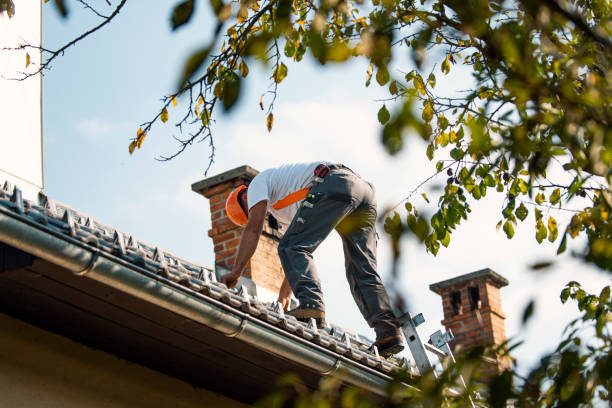 Best Storm Damage Roof Repair  in Pleasant Valley, WV